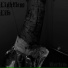 Lightless Life