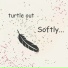 turtle out