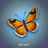 Damir