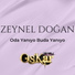 Zeynel Doğan