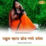 Dinesh Dayma