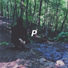 Padillion