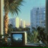 Lofi Palms