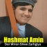 Hashmat Amin
