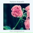 Nature Sounds