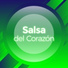 Dj Salsero