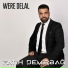 Fatih Demirbağ, Aydın