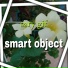 sary gif