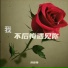 许玲玲, 許玲玲