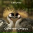Garfield Ortega