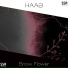 HAAB