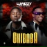 Luwizzy feat. Yo maps