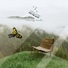 Relaxing Mode