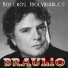 Braulio