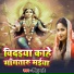 Pintu Pyare