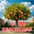 Алексей Аксёненко