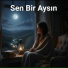 veysel aslan