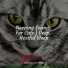 Cat Music Therapy, Calm Music for Cats, RelaxMyCat