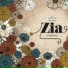 Zia feat. Park Kyung Of Block B