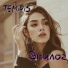 TemiRiS