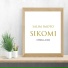 Salim Imoto