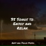 Study Zone, Massage Music, White Noise Relaxation