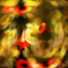 Alevoid