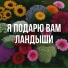 Проект номер 99, Kbbeatz