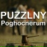 Puzzlny