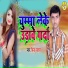 Pintu Pyara