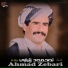 Ahmad Zebari