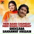 Shehzada Sakhawat Hussain