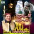 Shahbaz Qamar Fareedi
