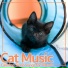 RelaxMyCat, Cat Music, Cat Music Therapy