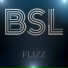 FLIZZ