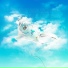 Fetlinz