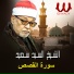 El Sayed Saeid
