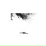 Quatuor Una Corda, Olivier Florio