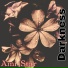 Ami Star