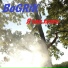 BoGRiK