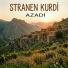 Stranen Kurdi