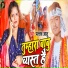Pallav Ashu