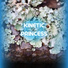 Kinetic Princess