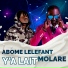 Abomé Léléfant, Molare