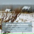 А. Сметанкина - А. Иванов-крамской ( гитара )