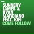 Swanky Tunes & Peking Duk feat. James McNally