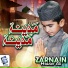 zarnain Haider Ali