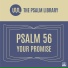 The Psalm Library feat. Emily Bartels
