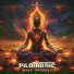Pilotronic