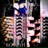 ROMISH